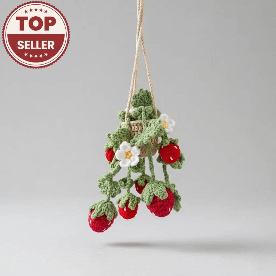Strawberry Mini Plant Pot