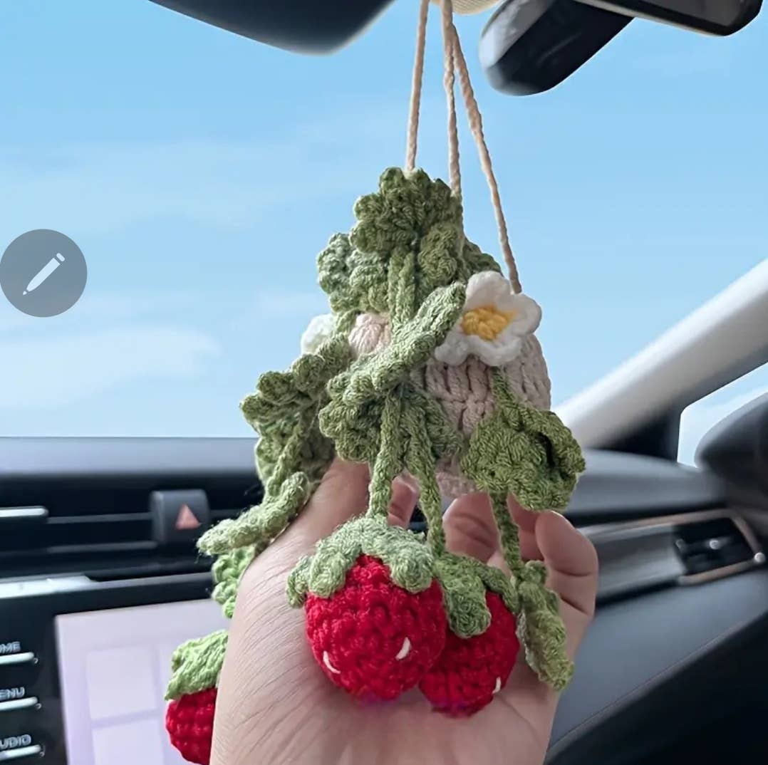 Strawberry Mini Plant Pot