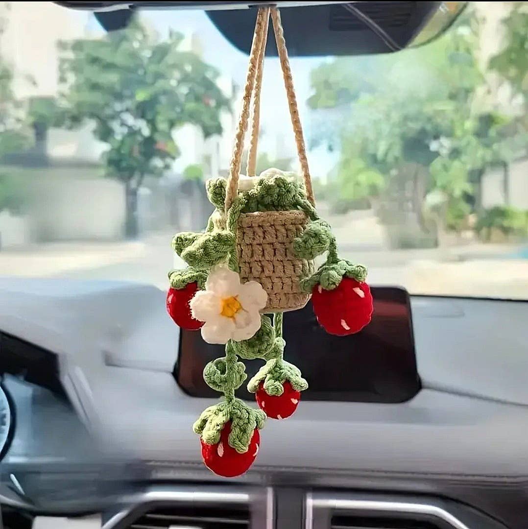 Strawberry Mini Plant Pot